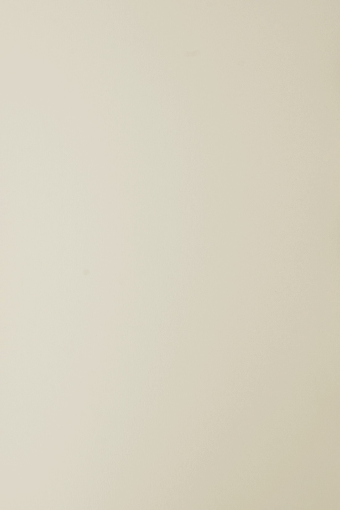 Papier Sirio Color 210g Sabbia 70x100 R125